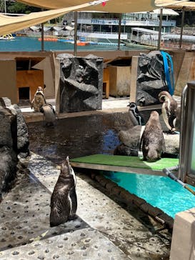 下田海中水族館に投稿された画像（2023/8/4）