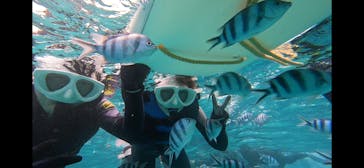 青の洞窟専門店　沖縄ダイビングショップ和に投稿された画像（2023/8/4）