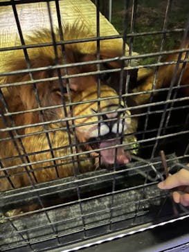 那須サファリパークに投稿された画像（2023/8/4）