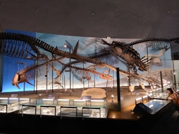 福井県立恐竜博物館に投稿された画像（2023/8/4）