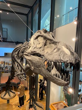 福井県立恐竜博物館に投稿された画像（2023/8/4）