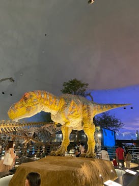 福井県立恐竜博物館に投稿された画像（2023/8/4）