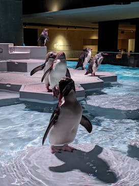 AOAO SAPPOROに投稿された画像（2023/8/4）