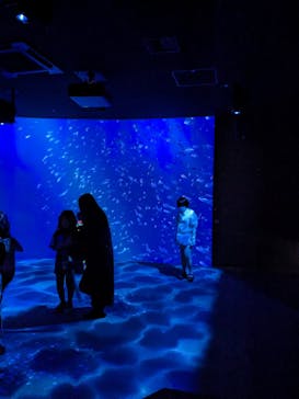 AOAO SAPPOROに投稿された画像（2023/8/4）