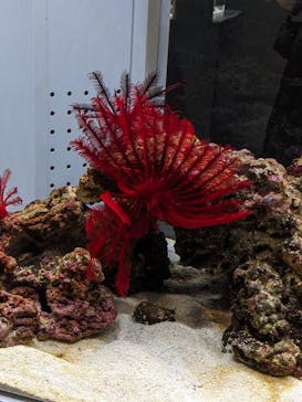 AOAO SAPPOROに投稿された画像（2023/8/4）