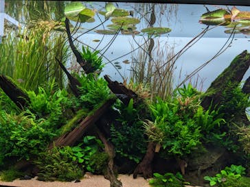 AOAO SAPPOROに投稿された画像（2023/8/4）