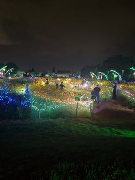 せんだい農業園芸センター　みどりの杜に投稿された画像（2023/8/4）