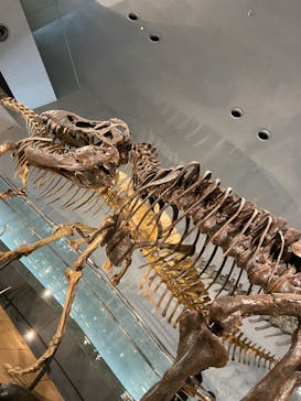 福井県立恐竜博物館に投稿された画像（2023/8/4）