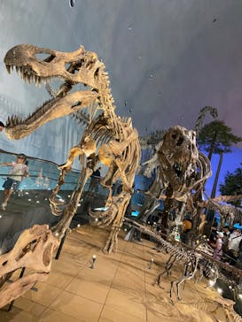 福井県立恐竜博物館に投稿された画像（2023/8/4）