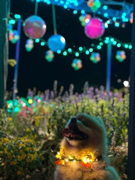 せんだい農業園芸センター　みどりの杜に投稿された画像（2023/8/4）