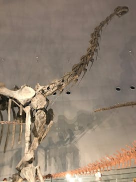 福井県立恐竜博物館に投稿された画像（2023/8/4）