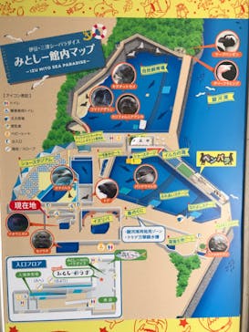 伊豆・三津シーパラダイスに投稿された画像（2023/8/4）