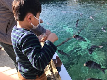 伊豆・三津シーパラダイスに投稿された画像（2023/8/4）