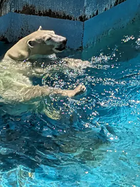 天王寺動物園に投稿された画像（2023/8/4）