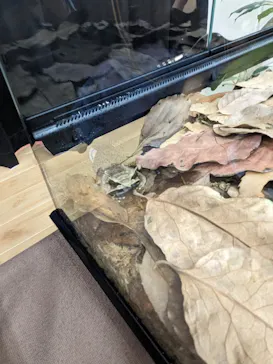 天王寺動物園に投稿された画像（2023/8/4）