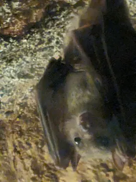 天王寺動物園に投稿された画像（2023/8/4）