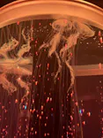 マクセル アクアパーク品川に投稿された画像（2023/8/5）
