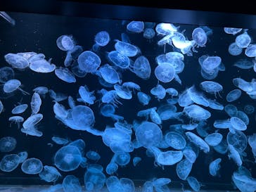 AOAO SAPPOROに投稿された画像（2023/8/4）