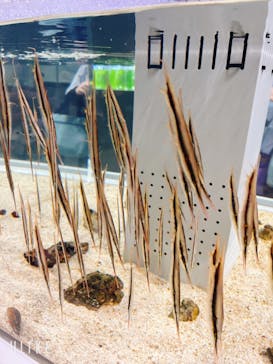 AOAO SAPPOROに投稿された画像（2023/8/4）