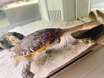 AOAO SAPPOROに投稿された画像（2023/8/4）