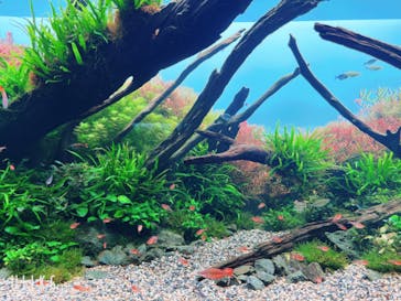 AOAO SAPPOROに投稿された画像（2023/8/4）