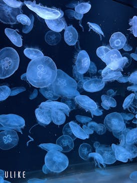 AOAO SAPPOROに投稿された画像（2023/8/4）