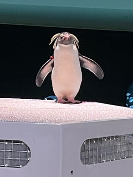 AOAO SAPPOROに投稿された画像（2023/8/4）