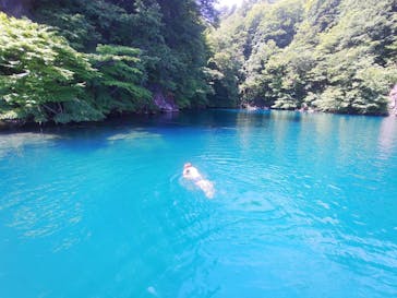 グリランド株式会社に投稿された画像（2023/8/4）