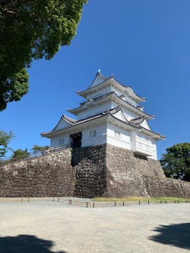 小田原城に投稿された画像（2023/8/4）