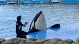 名古屋港水族館に投稿された画像（2023/8/5）