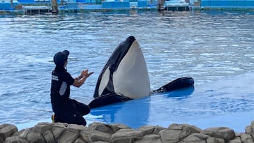 名古屋港水族館に投稿された画像（2023/8/4）