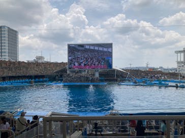 名古屋港水族館に投稿された画像（2023/8/4）