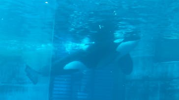 名古屋港水族館に投稿された画像（2023/8/4）