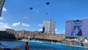 名古屋港水族館に投稿された画像（2023/8/4）