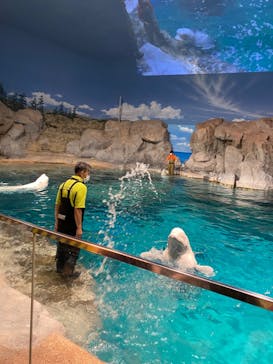 名古屋港水族館に投稿された画像（2023/8/4）