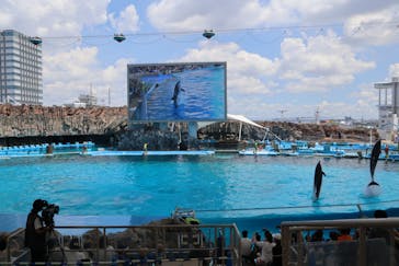 名古屋港水族館に投稿された画像（2023/8/5）