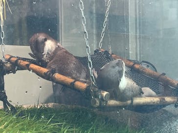 サンシャイン水族館に投稿された画像（2023/8/5）