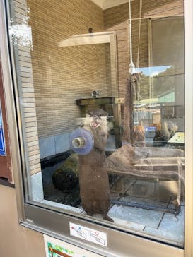 下田海中水族館に投稿された画像（2023/8/5）