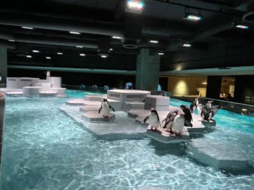 AOAO SAPPOROに投稿された画像（2023/8/5）