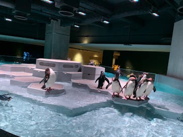 AOAO SAPPOROに投稿された画像（2023/8/5）