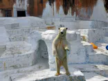 天王寺動物園に投稿された画像（2023/8/5）