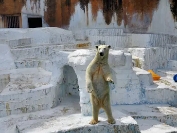 天王寺動物園に投稿された画像（2023/8/5）