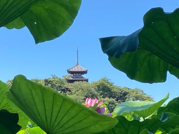 三溪園に投稿された画像（2023/8/5）