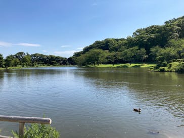 三溪園に投稿された画像（2023/8/5）