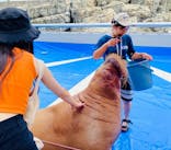 大分マリーンパレス水族館 「うみたまご」に投稿された画像（2023/8/5）