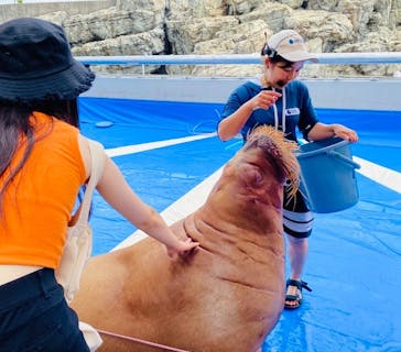 大分マリーンパレス水族館 「うみたまご」に投稿された画像（2023/8/5）