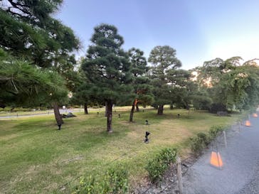 NAKED meets 二条城 2025 観月に投稿された画像（2023/8/5）