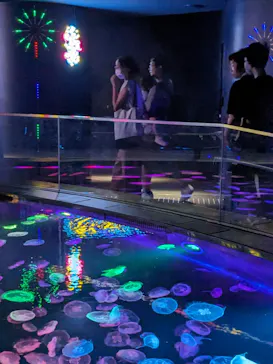 すみだ水族館に投稿された画像（2023/8/5）