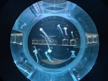 AOAO SAPPOROに投稿された画像（2023/8/5）