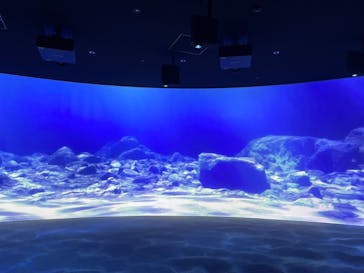 AOAO SAPPOROに投稿された画像（2023/8/5）